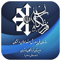 دبیرستان دوره دوم تیزهوشان فرزانگان ۸